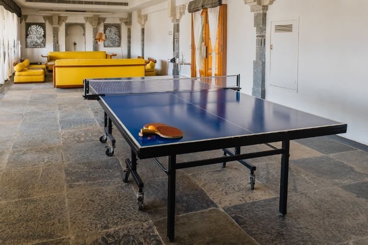 RAAS Devigarh – photo 10
